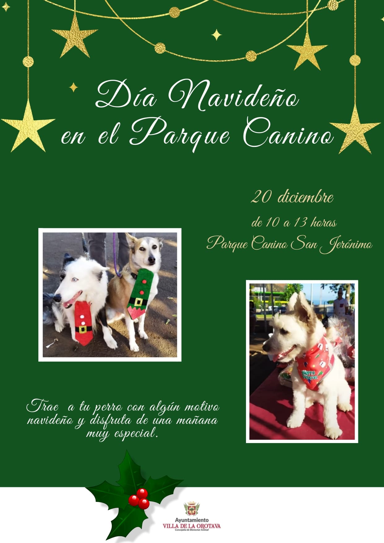 dia_navideno_en_el_parque_canino_2_1_page-0001 (1)