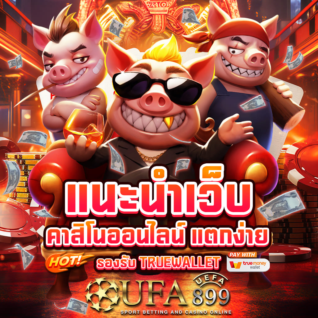 ไม่พบรูปภาพ